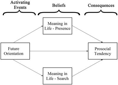 Awareness of meaning and quest for meaning: The mechanisms between future orientation and prosociality among youth during pandemic